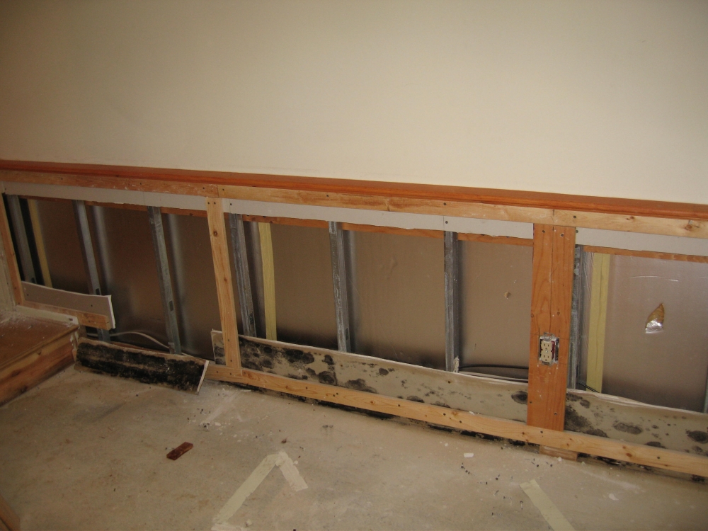 Unfinished basement with mold along the baseboards