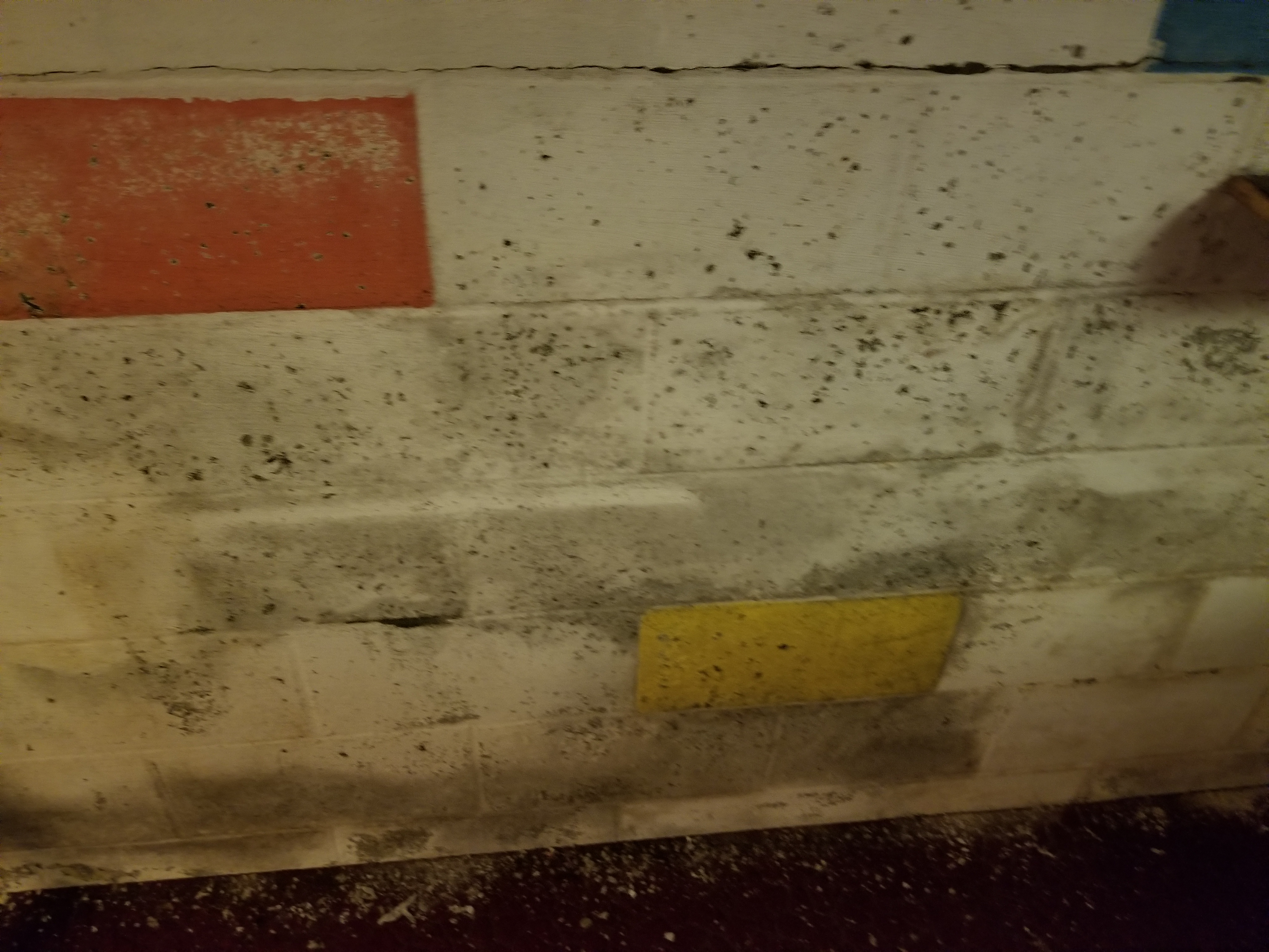 Mold on basement drywall