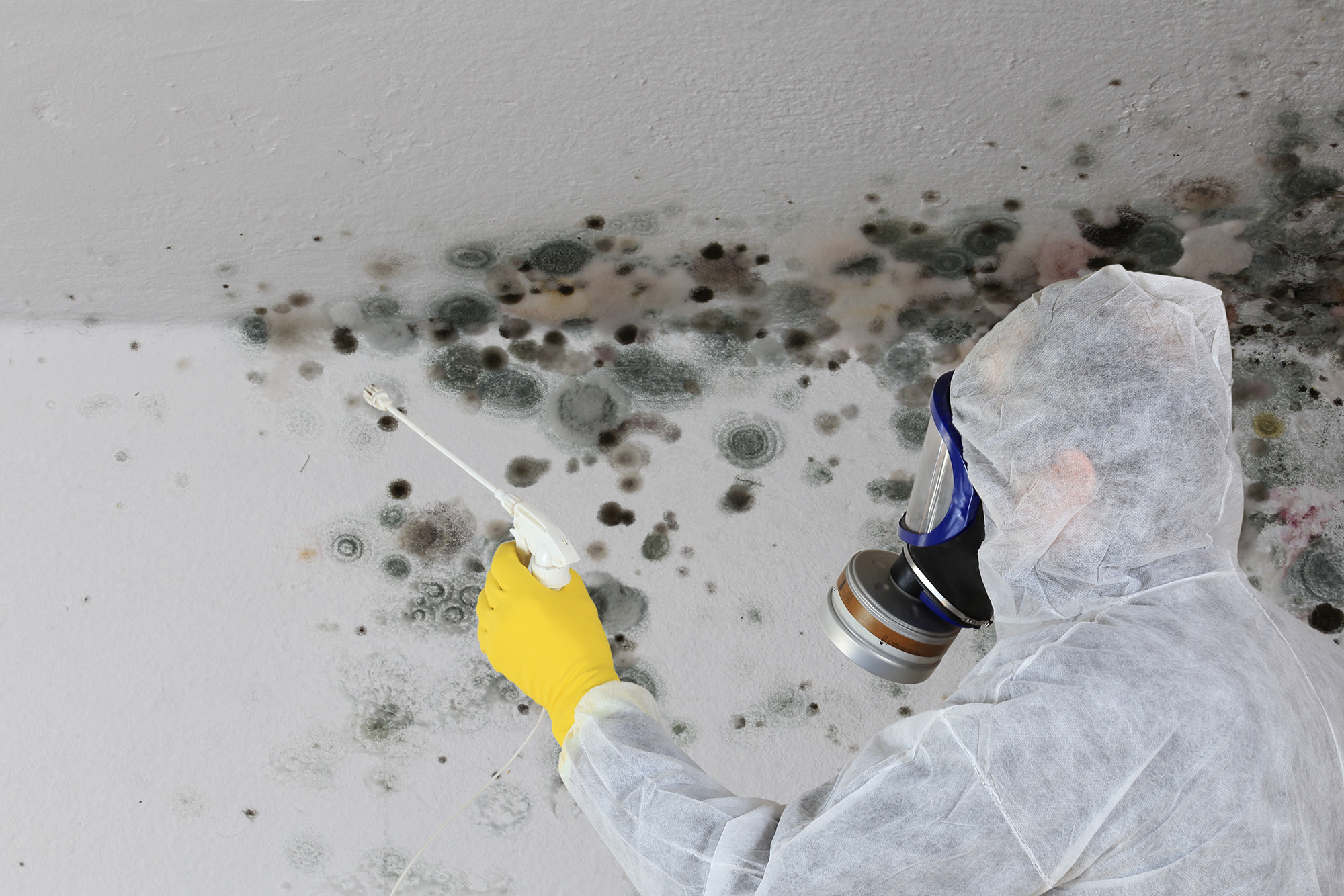 Man in hazmat suit cleaning a moldy room