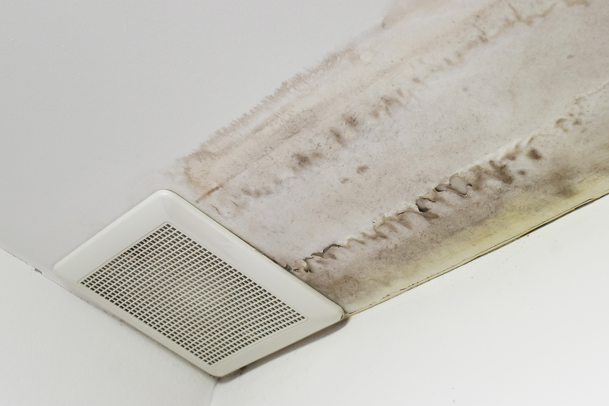 Moldy ceiling with air vent